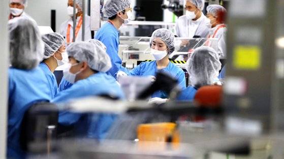 경북 안동시 SK바이오사이언스 공장에서 백신 포장작업을 하고 있다. SK바이오사이언스 공장에서는 아스트라제네카 백신을 위탁생산하고 있다. 노바백스 백신의 위탁생산도 맡았다. 뉴시스