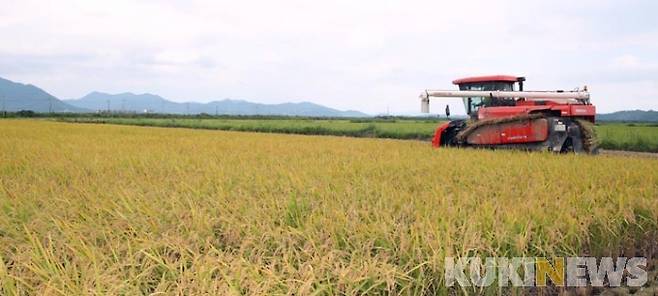 농림축산식품부의 ‘2022년 고품질 쌀 유통활성화 공모사업’에 전남 7개 시군의 통합RPC와 농협에서 신청한 사업이 모두 선정됐다.