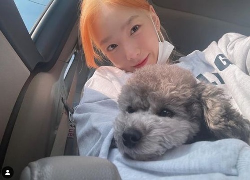 Girls Generation Taeyeon has released a friendly two-shot with Pet Xero.Taeyeon posted a picture on his instagram on the morning of the 15th.Inside the picture, he was seen holding Pet Xero in the car.Taeyeons orange-colored hair caught my eye, and the beautiful look that digested any color was admirable.He also boasts cute beautiful looks as much as Pet, doubling the cuteness with Xero.Meanwhile, Taeyeon is currently appearing on TVN entertainment program Amazing Saturday (hereinafter referred to as Amazing Saturday).
