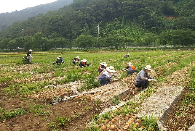 한전 경남본부 제공