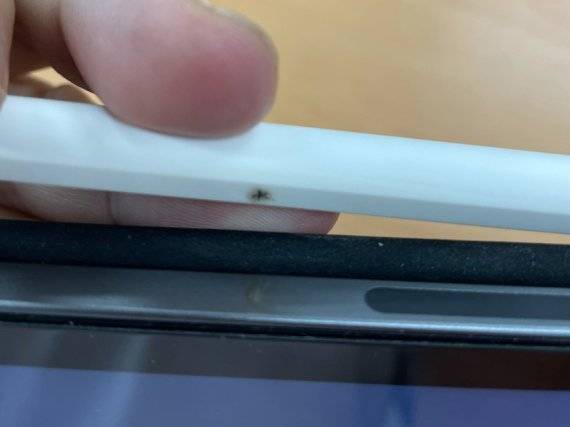 A씨가 디씨인사이드 아이패드 갤러리에 공개한 애플펜슬 사진