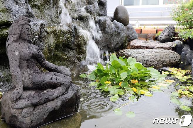 가축분뇨공동자원화 공장에서 분뇨 정화수로 만들어진 인공폭포와 연못. 연못안에는 물고기 10마리가 살고 있다. © 뉴스1
