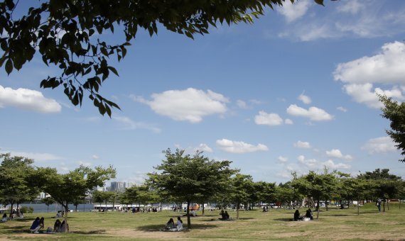 서울 낮 기온이 30도 안팎에 이르는 등 무더운 날씨를 보인 16일 서울 여의도 한강시민공원에서 시민들이 나무 밑에 앉아 휴식을 취하고 있다.뉴스1