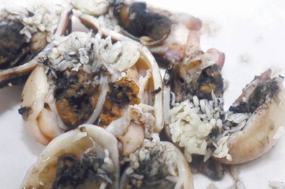 알 찬 주꾸미. 하얀 밥알처럼 보이는 게 주꾸미 알이다. 봄날의 별미로 인기가 높으나 알 찬 해산물은 수산자원 보호를 위해 삼가야 한다. 중앙포토