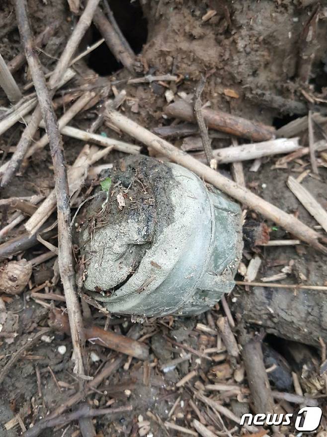 지난해 9월 28일 고양시 한강변에서 발견된 M14 대인지뢰. (한국지뢰제거연구소 제공) © 뉴스1