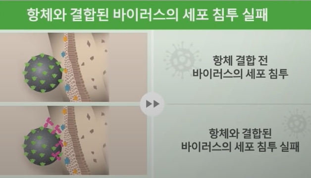 셀트리온 렉키로나 글로벌 임상3상 탑라인 결과설명회 영상 화면./사진=셀트리온