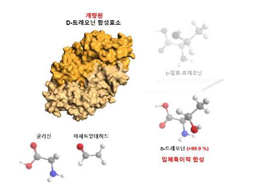 생명연은 항생제 의약품 원료로 쓰이는 D-트레오닌을 대량 생산할 수 있는 새로운 인공효소를 개발했다. 이 효소를 적용하면 99.9% 이상의 고순도의 D-트레오닌을 제조할 수 있다. 생명연 제공