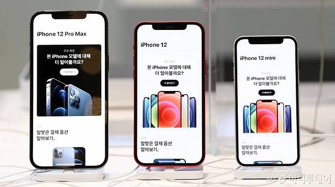 (왼쪽부터)아이폰12 프로 맥스, 아이폰12, 아이폰12 미니.  /사진=김휘선 기자 hwijpg@