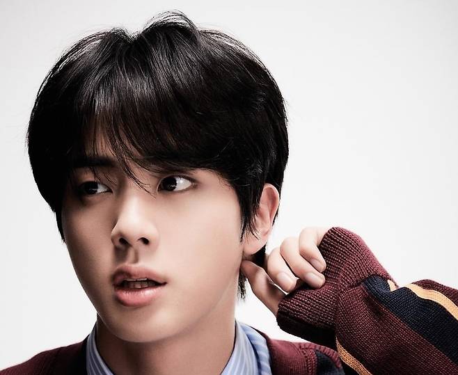 방탄소년단 진(BTS JIN)