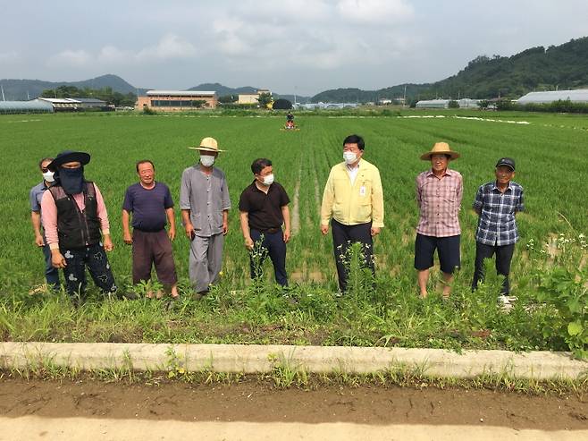 연천군농업기술센터, 친환경벼 재배농가 중경 제초기 시연 장면. / 사진제공=연천군농업기술센터