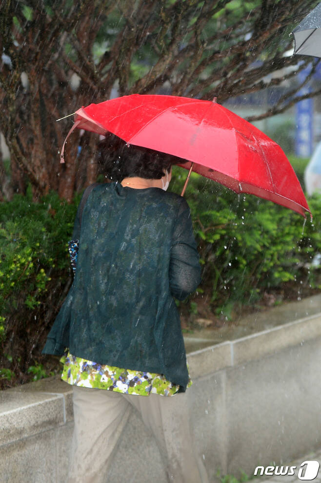 우산 쓴 시민이 발걸음을 옮기고 있다.  © News1 DB