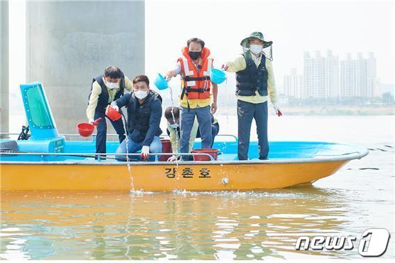 여주시 관계자들이 남한강에 뱀장어 치어를 방류하고 있다.(여주시 제공) © News1