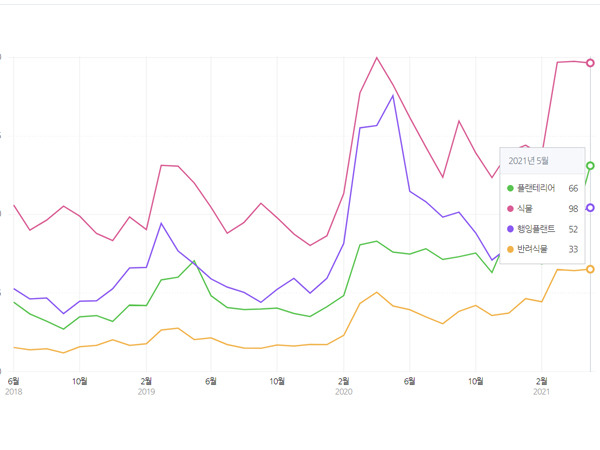 증가하고 있는 반려식물 관련 검색량.(출처=네이버 데이터랩)