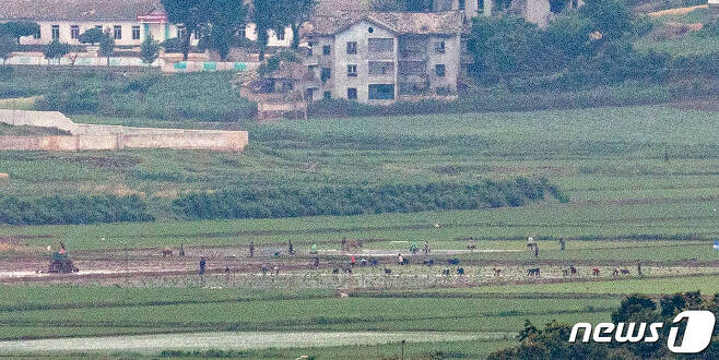 파주 접경지역에서 바라본 북한 개풍군 마을 일대. 2021.6.18/뉴스1 © News1 이승배 기자