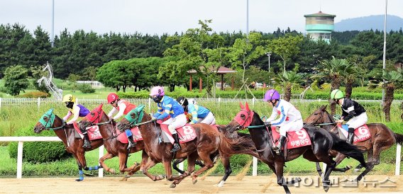 레츠런파크 제주