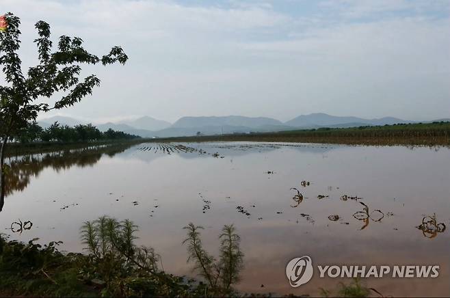 지난해 물바다 된 황해북도의 논밭 (서울=연합뉴스) 지난해 8월 7일 조선중앙TV가 보도한 황해북도 은파군 대청리의 수해를 입은 논밭. 물바다가 되고 작물들이 짓이겨져 당초 무엇이 재배되고 있었는지 가늠할 수 없는 정도다. [연합뉴스 자료사진·조선중앙TV 화면] 
    [국내에서만 사용가능. 재배포 금지. For Use Only in the Republic of Korea. No Redistribution] nkphoto@yna.co.kr