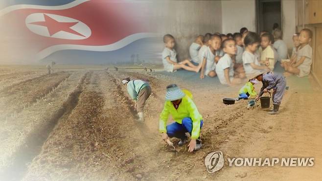 북한 식량난(CG) [연합뉴스TV 제공]