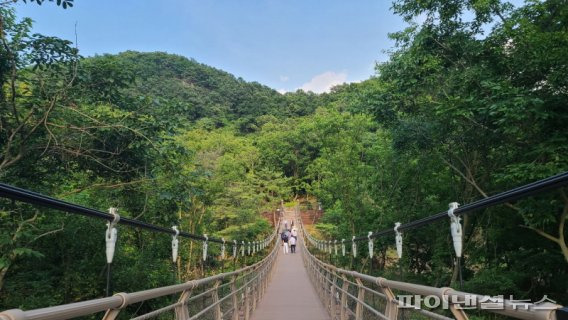 연천군 25일 한탄강 세계지질공원 관광 활성화 팸투어 진행. 사진제공=연천군