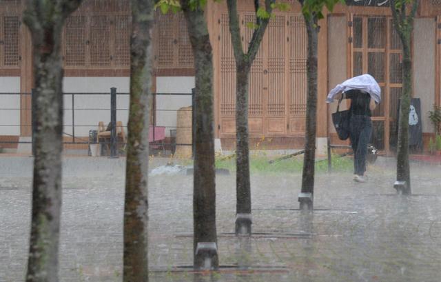 28일 소나기와 함께 우박이 쏟아진 전북 전주시 전북대학교 교정에서 우산을 준비하지 못한 학생이 비를 맞으며 교정을 지나고 있다. 전주=뉴시스
