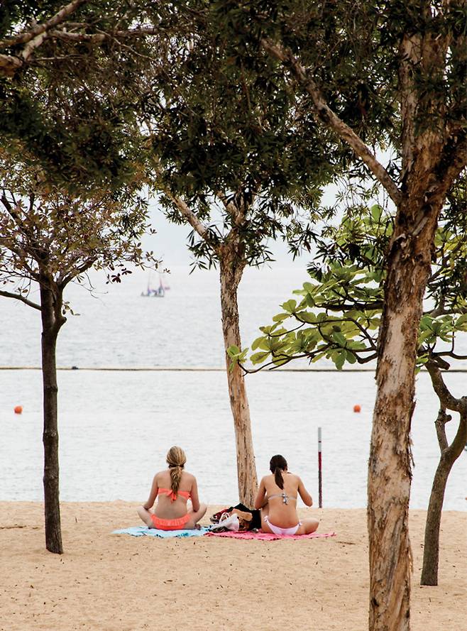 리펄스 베이의 여름은 해수욕을 즐기는 사람들로 인기다 .