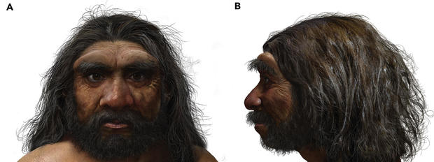 14년 전 중국 지역에 살았던 신종 고대 인류의 두개골을 바탕으로 복원한 얼굴