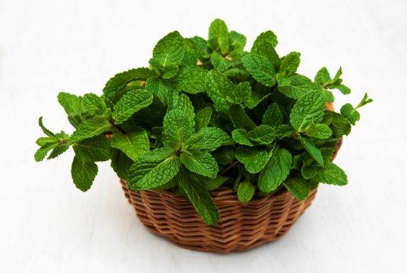 [사진=게티이미지뱅크]