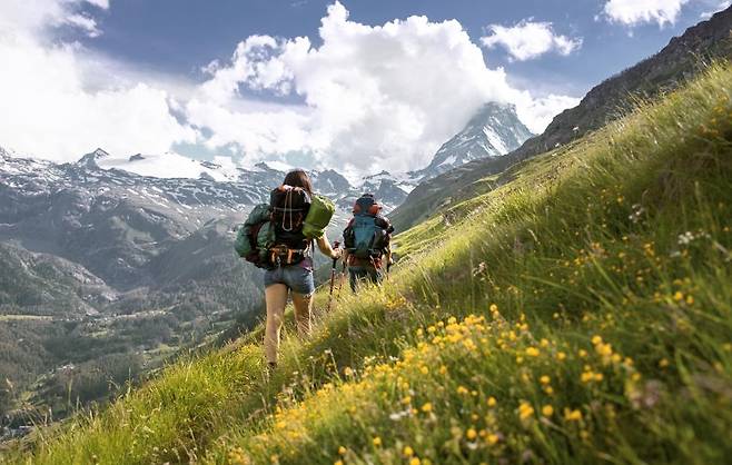 마터호른이 바라보이는 체르마트 트레킹 꽃길 [스위스 정부관광청 제공]