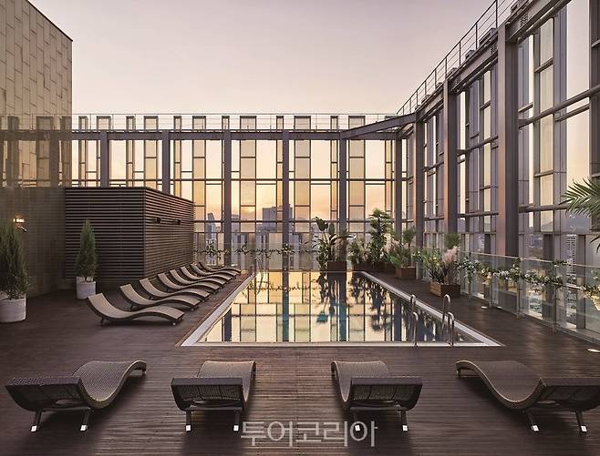 노보텔 앰배서더 동대문 수영장