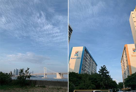 삼익비치아파트 산책로에서 이어지는 광안대교 산책로. 바다를 끼고 숲을 거니는 기분은 참으로 묘하다, 알록달록하고 나즈막한 이 아파트는 곧 역사의 뒤안길로 사라진다.