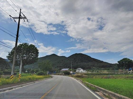 신숭겸 장군묘 입구. 가운데 불쑥한 산 앞쪽 중턱에 묘가 있다.