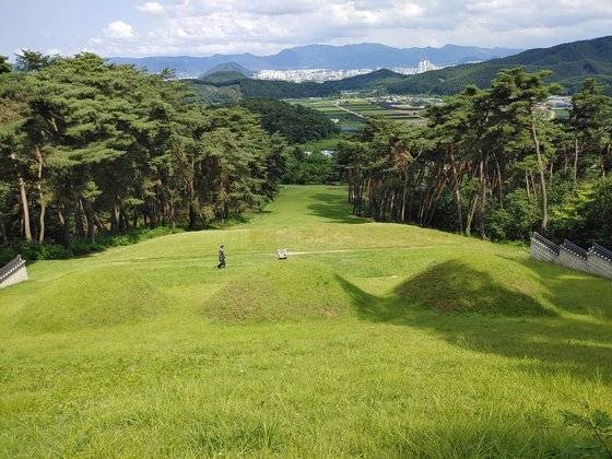 逶迤신숭겸장군 묘는 특이하게도 봉분이 셋이다. 경사가 가파른 만큼 경관이 뛰어나다. 좌우의 잘 가꾼 솔숲 사이로 장군봉, 봉의산, 대룡산이 일직선으로 내다보인다. 취재를 하고 있는데 말쑥한 정장차림의 중년신사가 올라오더니 봉분마다 큰절을 올리고 묵념을 했다. 평산 신씨 시조인 장군의 후손으로 보였다.