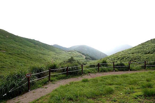 화왕산.  / 사진= 창녕군