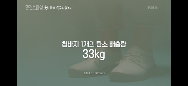 청바지 1개를 만들 때 탄소 배출량은 자동차로 111㎞를 갈 때 탄소양과 같다. 방송 캡처