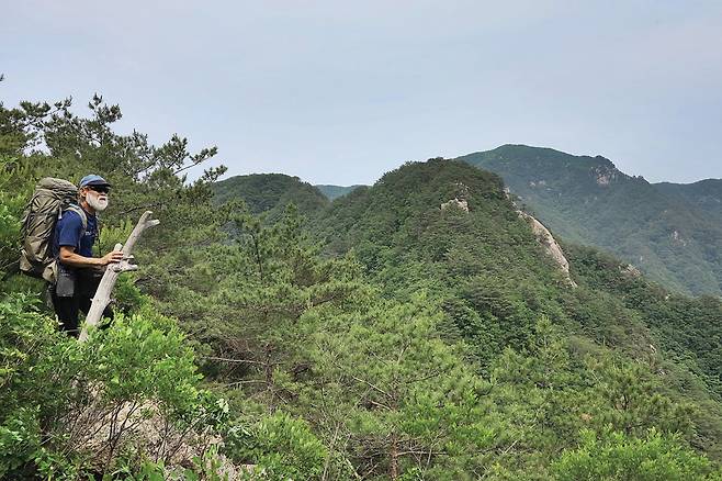 흥룡봉 정상에서 북동쪽 조망. 왼쪽부터 향적봉, 백운산 정상(안부 뒤로 살짝 보이는 산), 바위를 드러낸 730m봉. 730m본 오른쪽 가장 높은 산은 도마치봉이다.