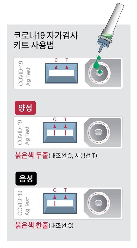 코로나19 자가검사 키트 사용법 그래픽 이미지. 중앙포토