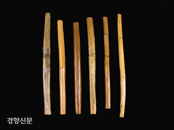 백제 공중화장실에 확인된 뒷처리용 나무막대.|국립부여문화재연구소 제공