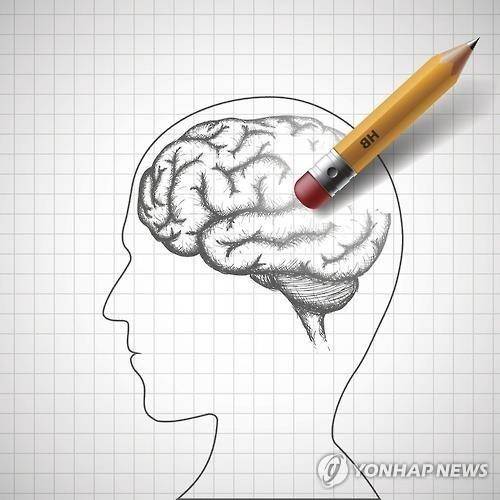 뇌 [게티이미지뱅크 제공]