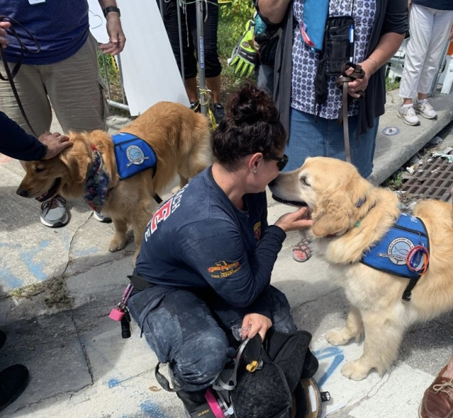 마이애미 아파트 붕괴 현장에 파견된 위로견. LCC K-9 Comfort Dogs 페이스북 캡처