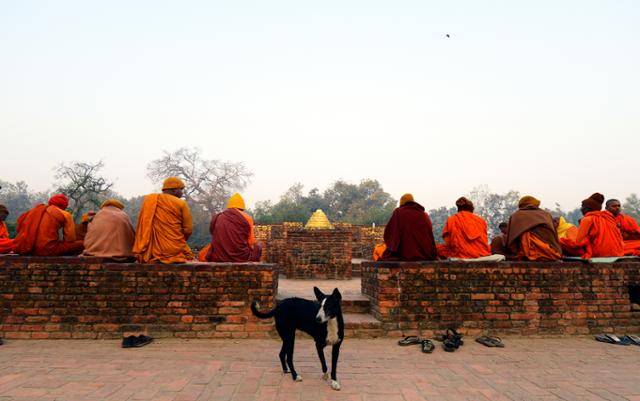 인도 사위성 기원정사에서 기도하는 남방불교 승려들. ©여실화(서애자)