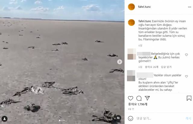 사진작가 파리 퉁크 인스타그램