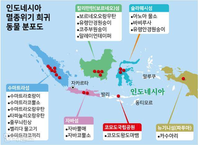 인도네시아 멸종위기 희귀 동물 분포도. 그래픽=강준구 기자