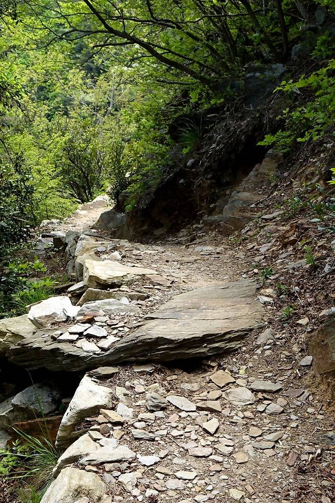 힘들다고 느껴지는 그때에 우리는 자신이 누구인지 궁금해지고, 궁금증은 결국 나를 찾아 떠나는 길로 나서게 한다.