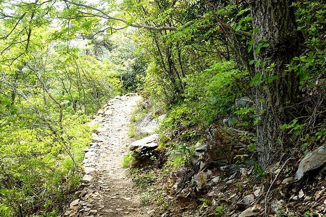 낯선 곳을 향해 떠나지 않는 한, 그 꿈의 조각은 결코 찾아질 리 없다.