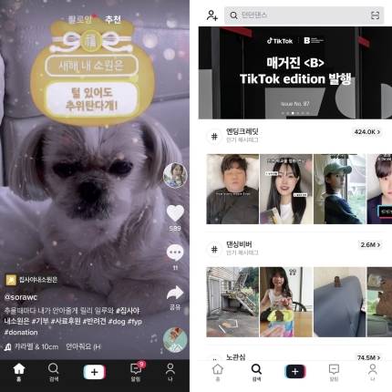 숏폼 영상 SNS 붐을 일으킨 틱톡의 첫 화면(왼쪽)과 검색 탭 화면. /사진제공=틱톡