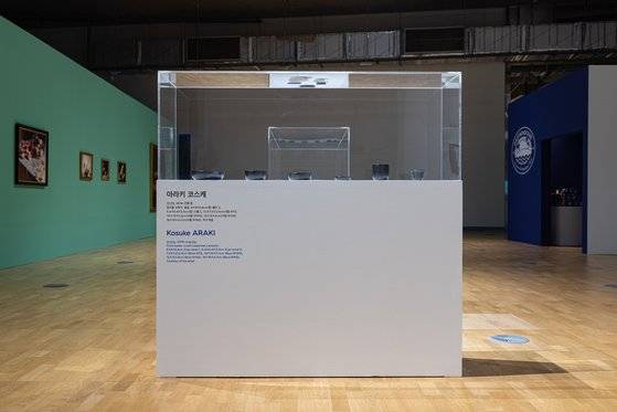 아라키 코스케의 ‘아니마(Anima)’. [사진 아시아문화원]