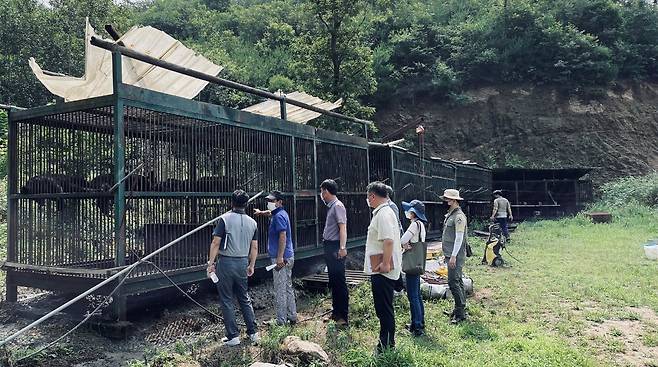 용인 반달가슴곰 탈출 사육농장 - 용인시, 환경부, 경기도, 국립공원공단 관계자들이 8일 반달가슴곰 2마리가 탈출한 용인의 한 곰 사육농장을 살펴보고 있다. 1마리는 지난 6일 탈출 당일 사살됐고, 1마리는 아직 발견되지 않았다. 2021.7.8 용인시 제공