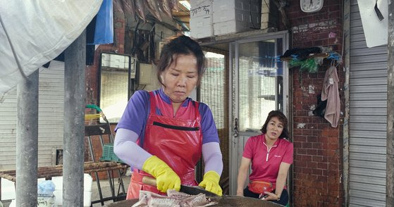 영화 '갈매기'. [사진 영화사 진진]