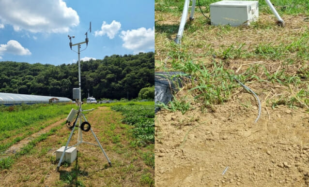 노지(밭) 자동관측장비(왼쪽)와 노지(밭) 지면온도 센서(붉은색 원)