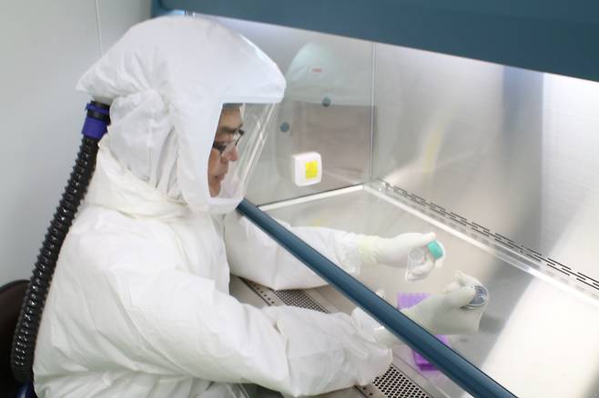 한국생명공학연구원 생물안전 3등급 연구시설(BL3) 코로나19 백신관련 연구 모습.[한국생명공학연구원 제공]