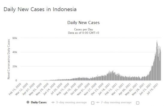 인도네시아의 코로나19 일일 신규 확진자 수 발생 추이. [사진=월드오미터 홈페이지 캡처]